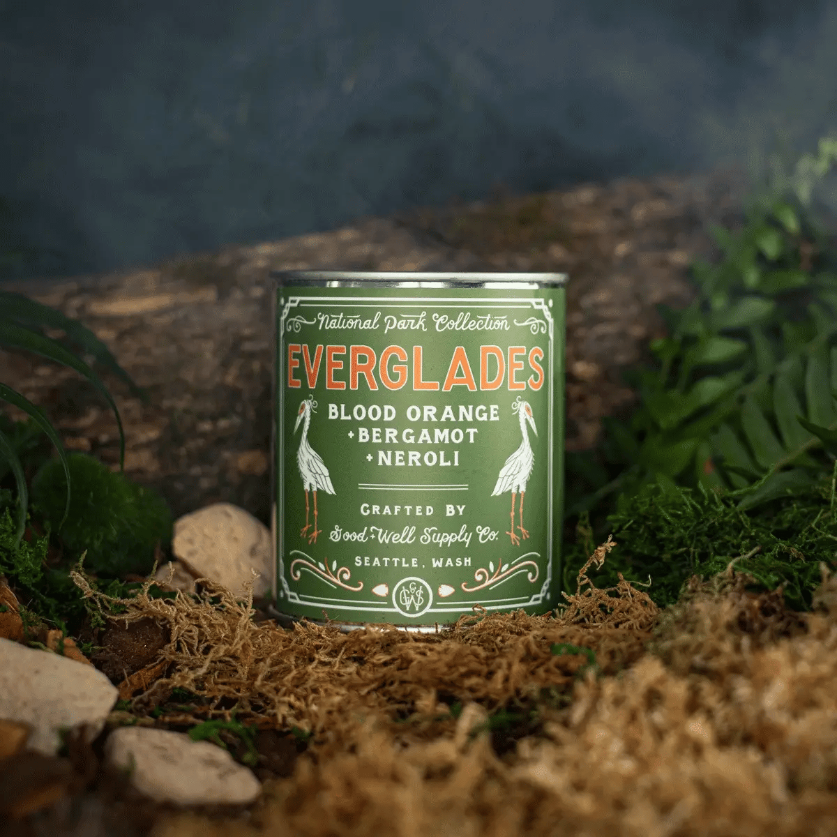 EVERGLADES National Park Candle